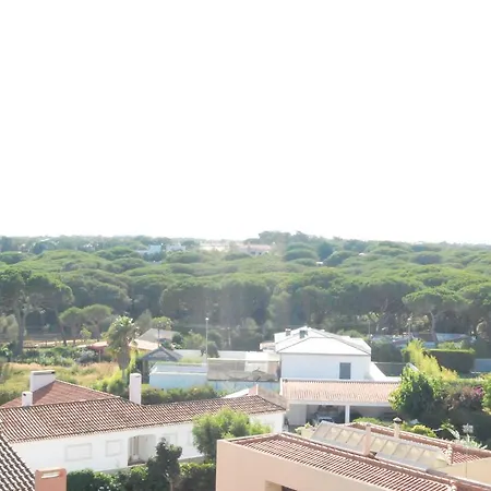Sunny Flat Apartament